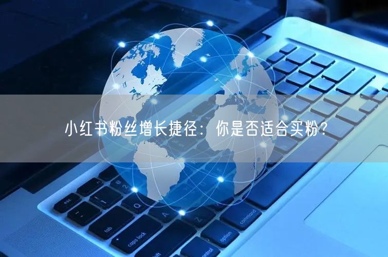 小红书粉丝增长捷径：你是否适合买粉？