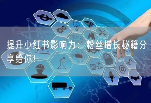 提升小红书影响力:粉丝增长秘籍分享给你!