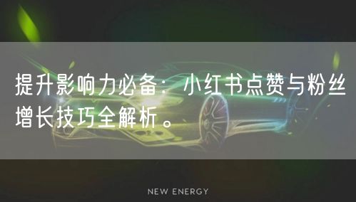 提升影响力必备:小红书点赞与粉丝增长技巧全解析。