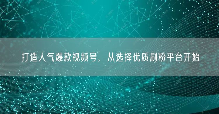 打造人气爆款视频号，从选择优质刷粉平台开始