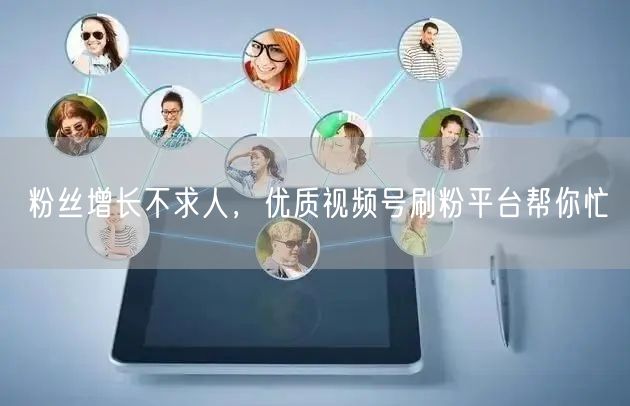 粉丝增长不求人，优质视频号刷粉平台帮你忙