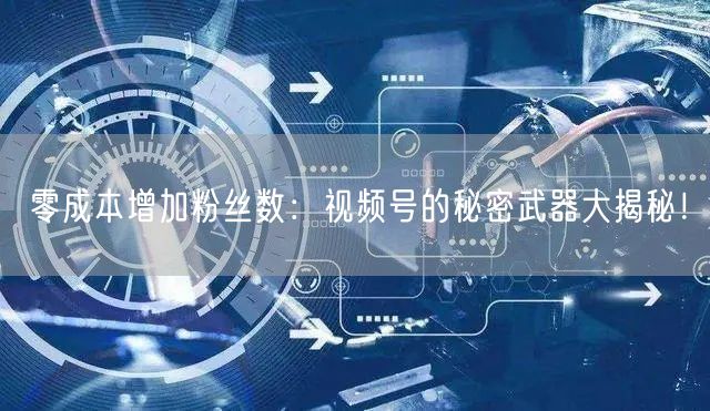 零成本增加粉丝数：视频号的秘密武器大揭秘！